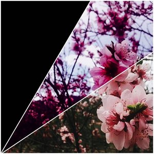 Mucho Mejor - Single