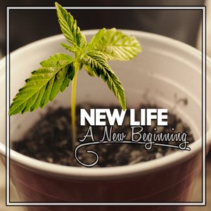 Image for 'A New Beginning'