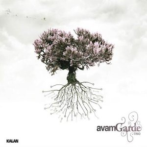 Avam Garde 的头像