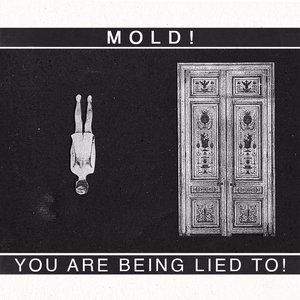 You Are Being Lied To! - Single