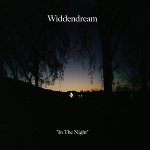 In the Night