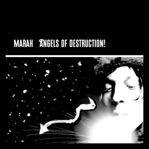 Angels Of Destruction