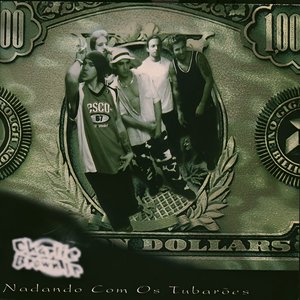 Nadando com os Tubarões