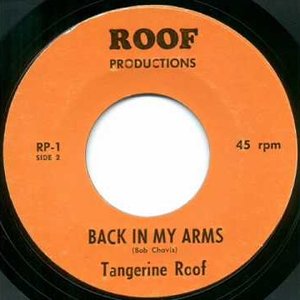 Tangerine Roof 的头像