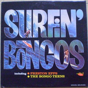 Surfin' Bongos