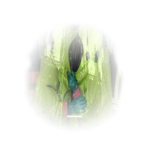 Just Like Home - Single