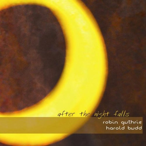 After the Night Falls cover