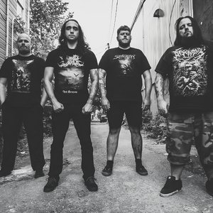 NecroticGoreBeast 的头像