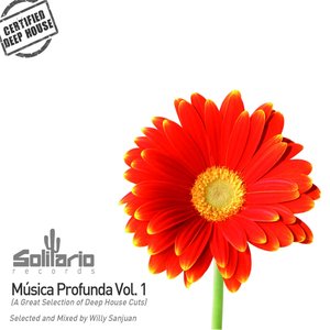 Musica Profunda, Vol.1 (A Great Selection of Deep House Cuts Selected and Mixed By Willy Sanjuan)