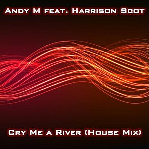 Cry Me A River ( house mix ) [feat. Harrison Scott]