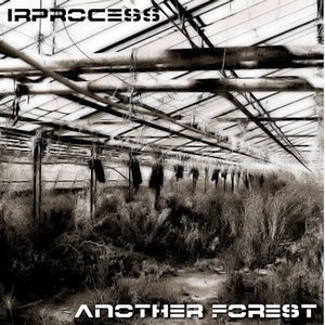 “Another Forest”的封面