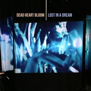 Lost in a Dream