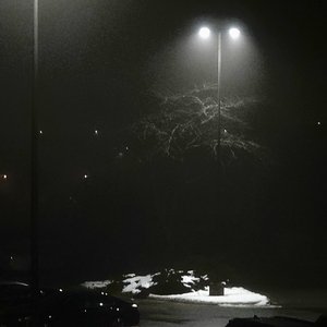 dish lickwud - single
