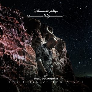 The Still Of The Night