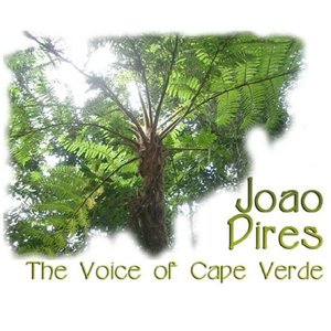 Canta Nha Virgen Maria