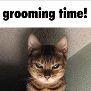 Avatar de Andrew Stein