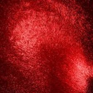 Paradísarmissir - Single