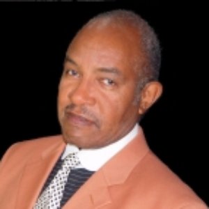 Ronald Turner and the Fashion Statement 的头像
