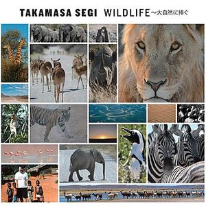 Wildlife