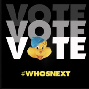 Vote Vote Vote Who's Next?