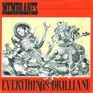Everything's Brilliant