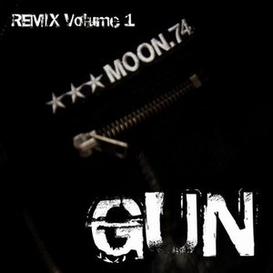 Gun