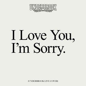 I Love You, I'm Sorry (Live Cover)