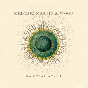 Radiolarians III