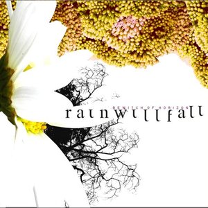 Rain Will Fall 的头像
