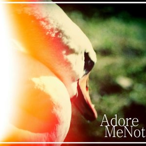 Adore Me Not