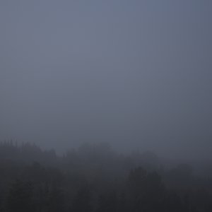 Shepherd - Single