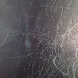 ShELteRs 的头像