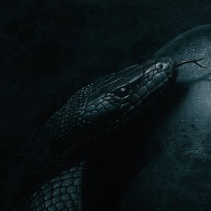 Avatar for Insectarium & The Black Monolith