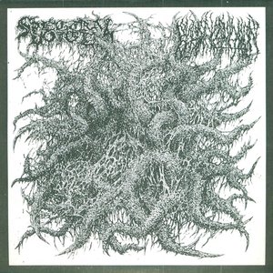 Mephitic Effluvia