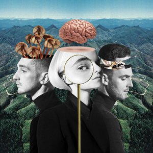 Clean Bandit feat. Demi Lovato - What Is Love - Zortam Music