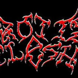 Necrotized Flesh 的头像