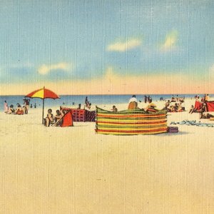 Long Division - Single