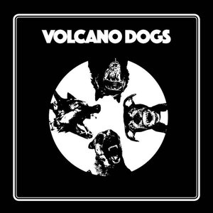 Volcano Dogs