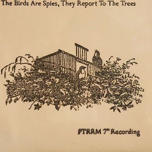 The Birds Are Spies, They Report To The Trees FTRRM 7" Recording