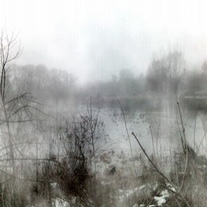 Overheard in the Mist