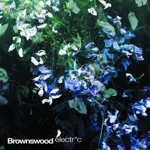 Image for 'Brownswood Electric'