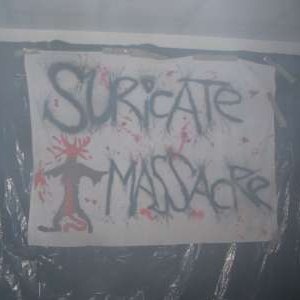 Suricate Massacre 的头像