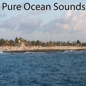Pure Ocean Sounds