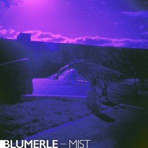 Blumerle 的头像