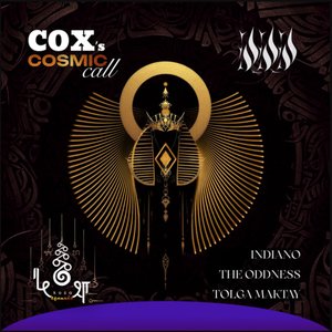 Cosmic Call