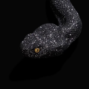 Black Mamba