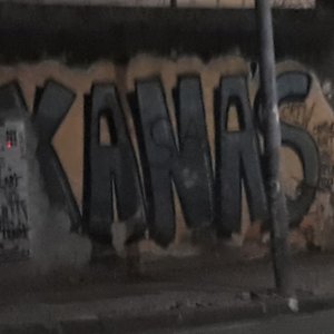 Gambati 的头像