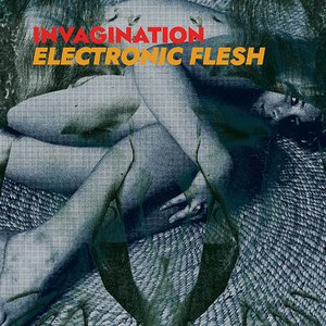 Electronic Flesh