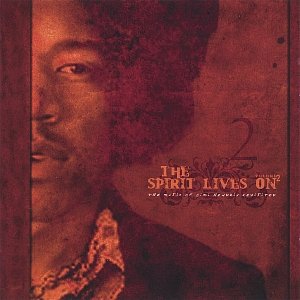 Изображение для 'The Spirit Lives On - the Music of Jimi Hendrix Revisited vol II'