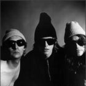 The Velvet Monkeys photo provided by Last.fm